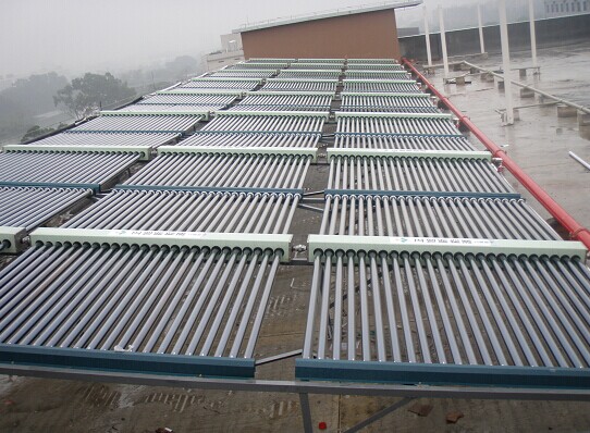 1734143259631973.jpg 1.jpg