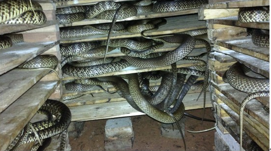 1734143680351545.png b3a3d4ce5bc87e194fb882cedcbfa8aa.png