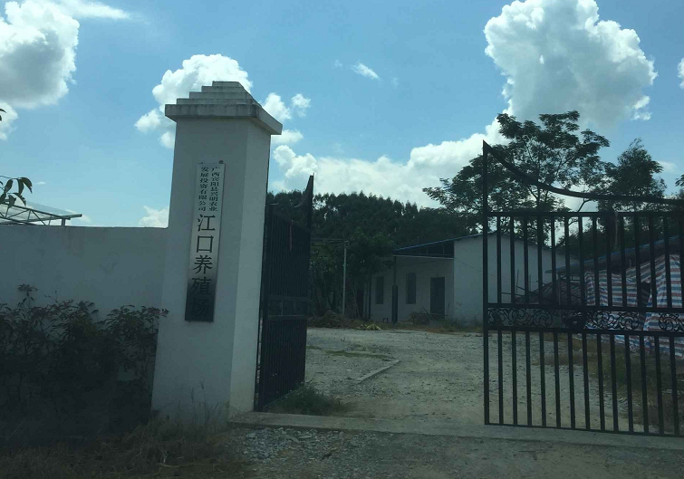 1734143782716348.png 1279e375ef73385220a0406a4ce7fe83.png