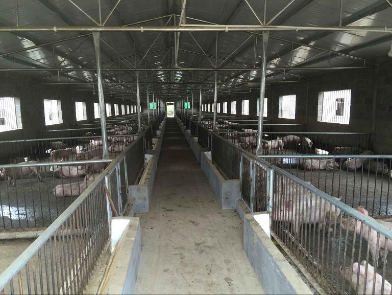 1734144368398406.jpg 1489913131111645.jpg