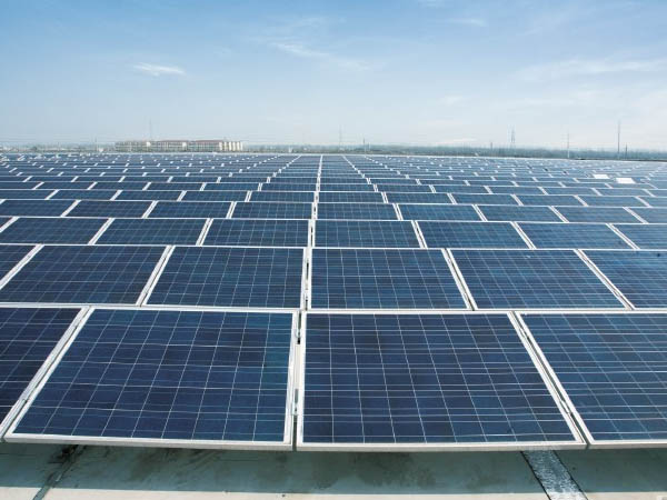 1734144896871032.jpg 16b0e9f0aded42fd55727f05d25b04eb.jpg