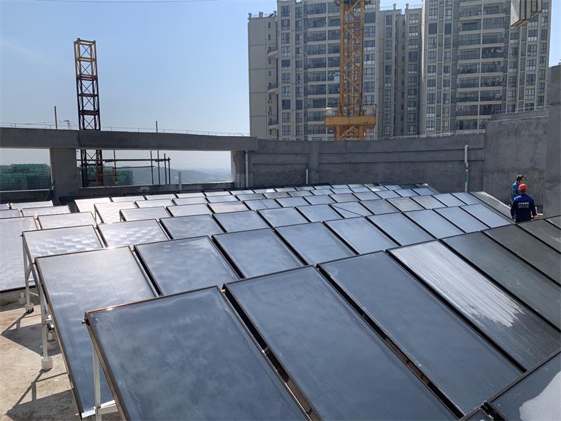 1734146454188663.jpg 1686540966933804.jpg